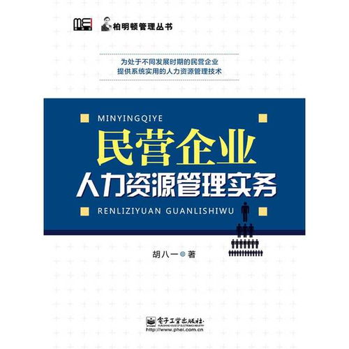 民營企業(yè)人力資源管理實務(wù) 書籍
